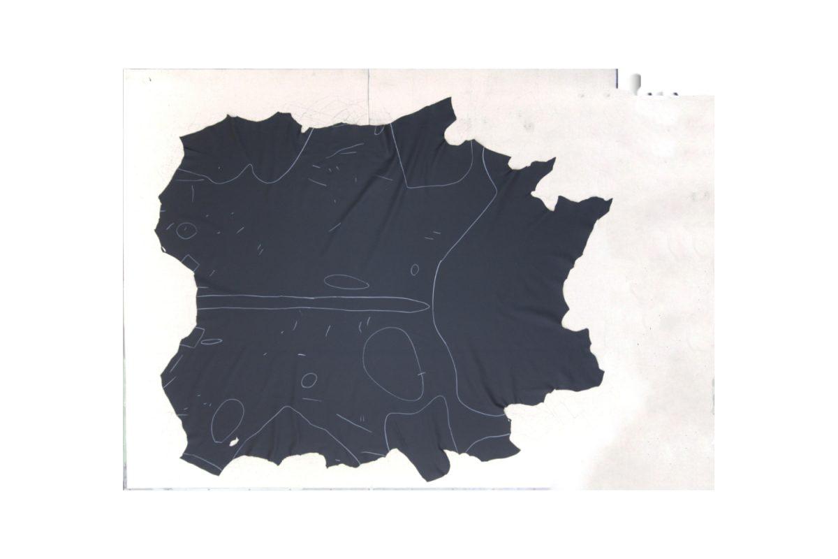 leather scanning digitizer